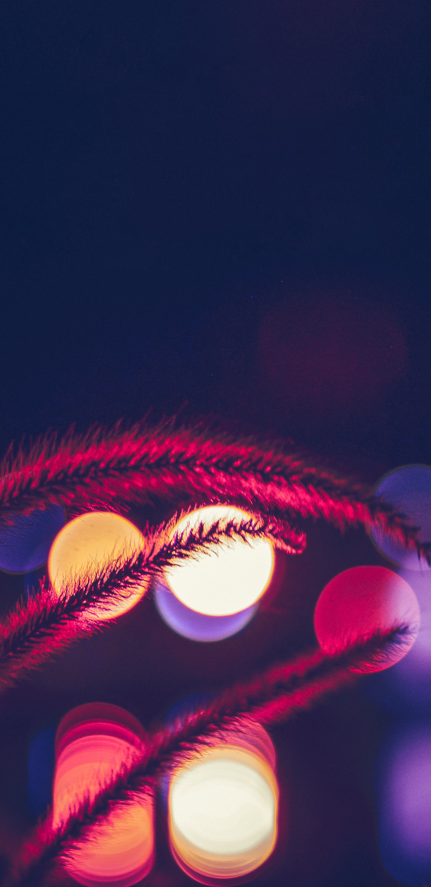 Rote Und Gelbe Lichter Während Der Nacht. Wallpaper in 1440x2960 Resolution