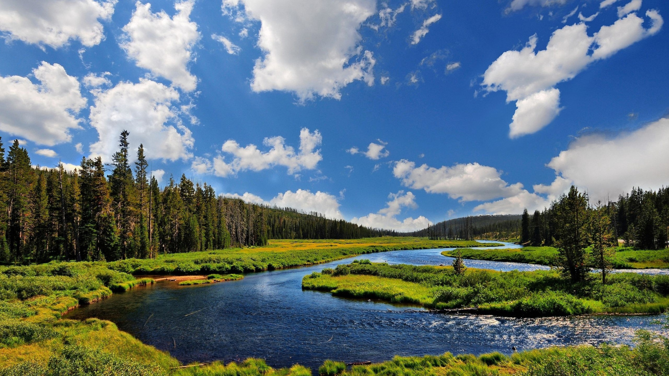Green Trees Near River Under Blue Sky During Daytime. Wallpaper in 1366x768 Resolution