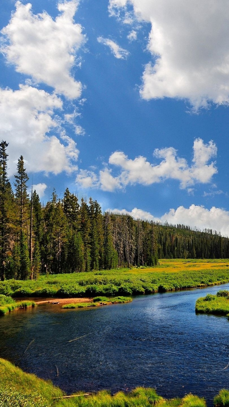 Green Trees Near River Under Blue Sky During Daytime. Wallpaper in 750x1334 Resolution