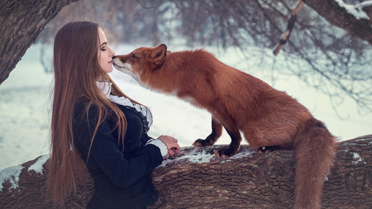 Man in Black Jacket and Brown Fox on Snow Covered Ground During Daytime. Wallpaper in 1280x720 Resolution