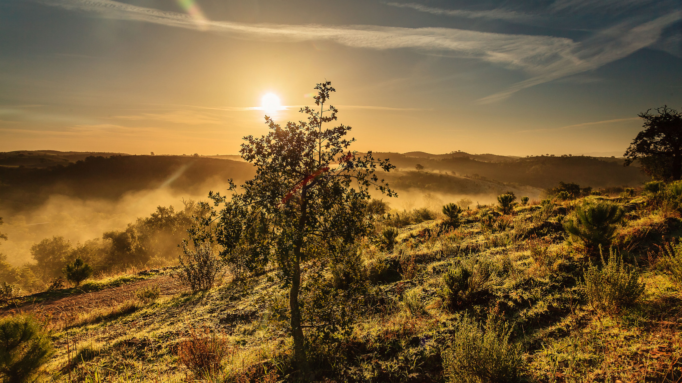 Green Grass Field During Sunset. Wallpaper in 1366x768 Resolution