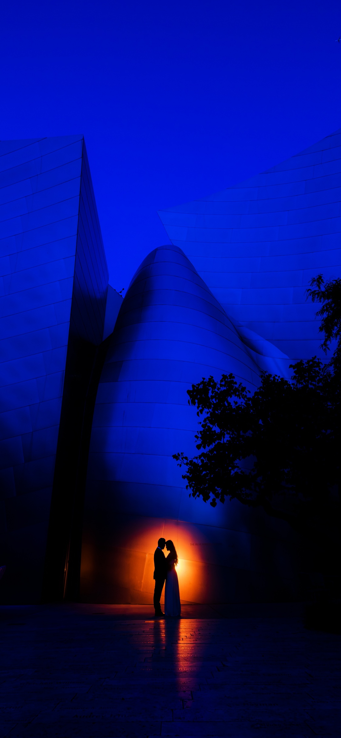 Azul, Luz, Arquitectura, Fábrica, Azul Cobalto. Wallpaper in 1125x2436 Resolution