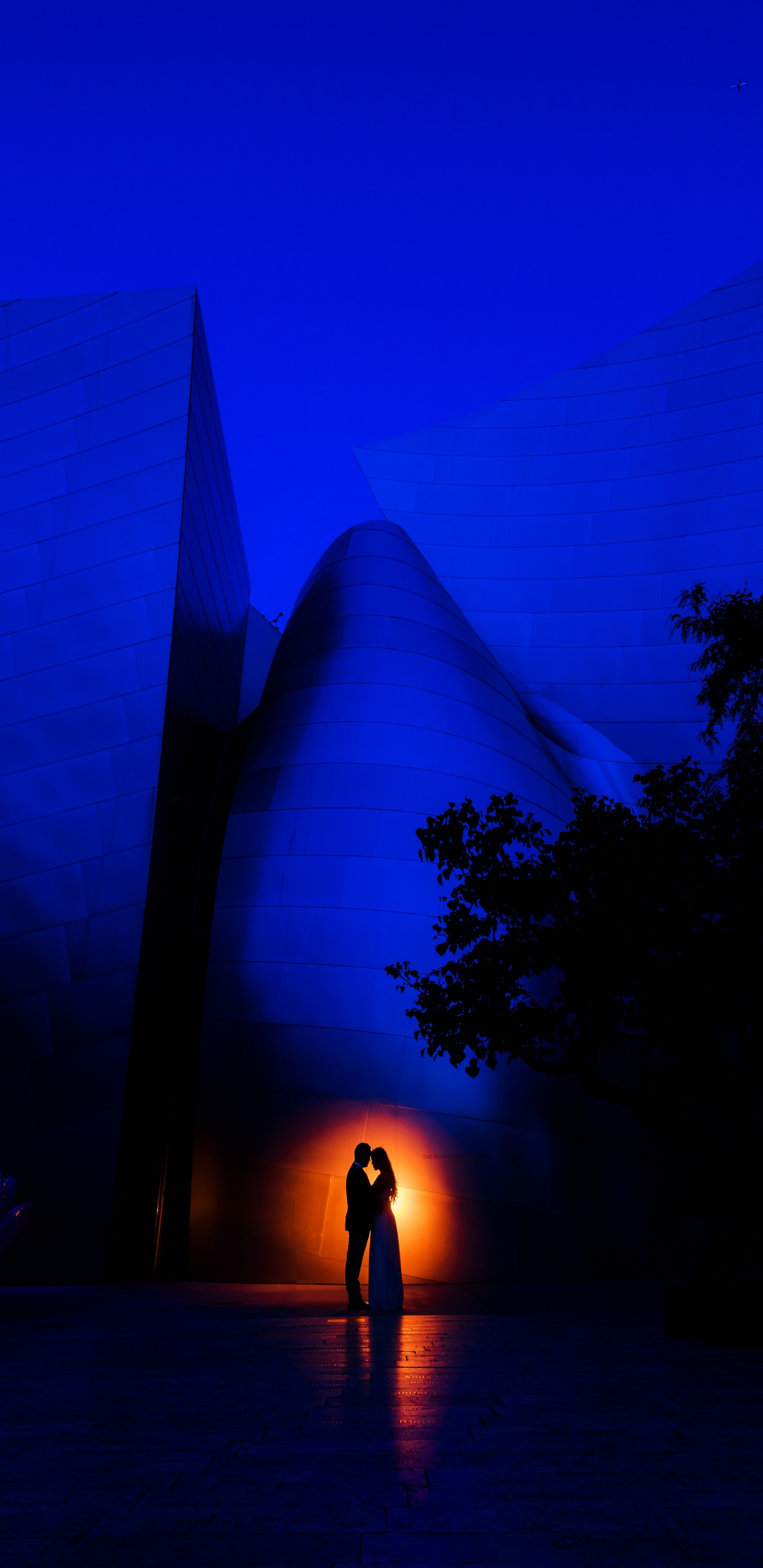 Azul, Luz, Arquitectura, Fábrica, Azul Cobalto. Wallpaper in 1440x2960 Resolution