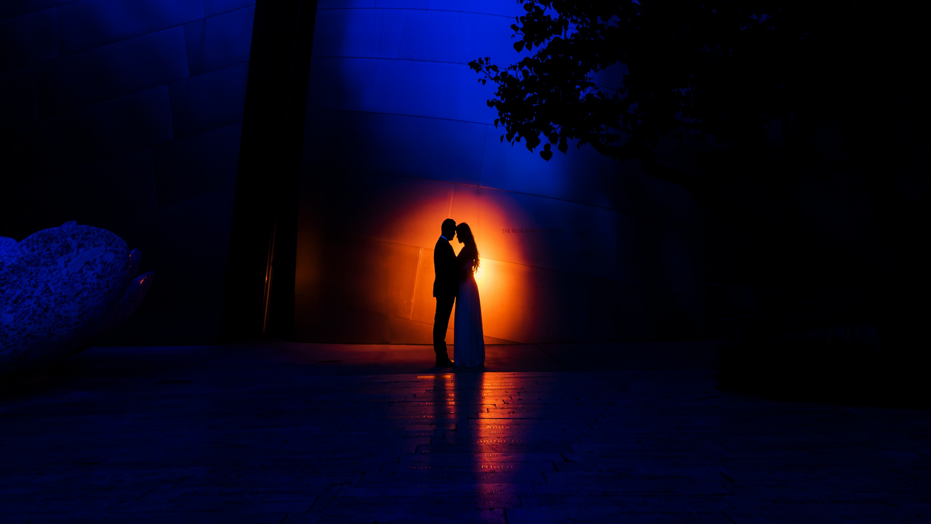 Blau, Licht, Nacht, Baum, Architektur. Wallpaper in 1920x1080 Resolution