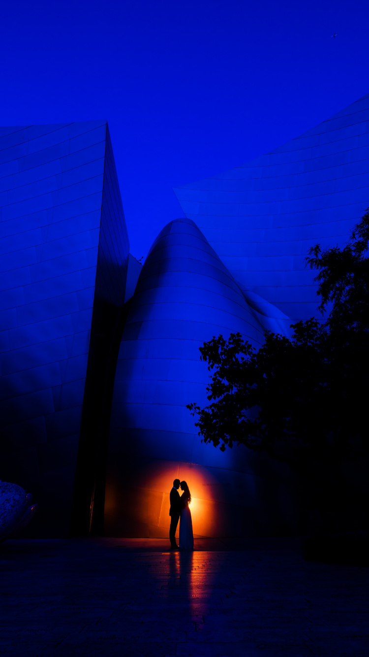 Blau, Licht, Nacht, Baum, Architektur. Wallpaper in 750x1334 Resolution