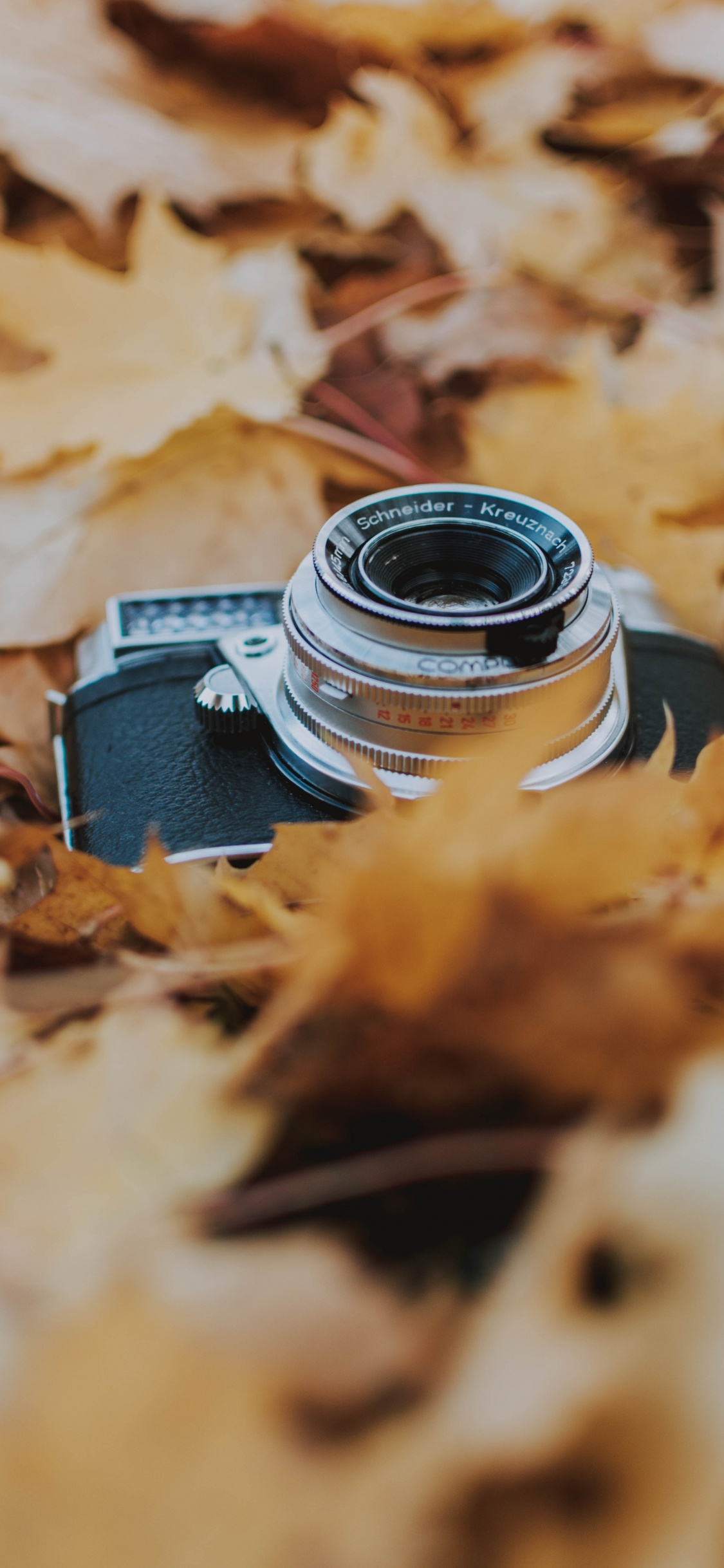Black and Silver Dslr Camera on Brown Dried Leaves. Wallpaper in 1125x2436 Resolution