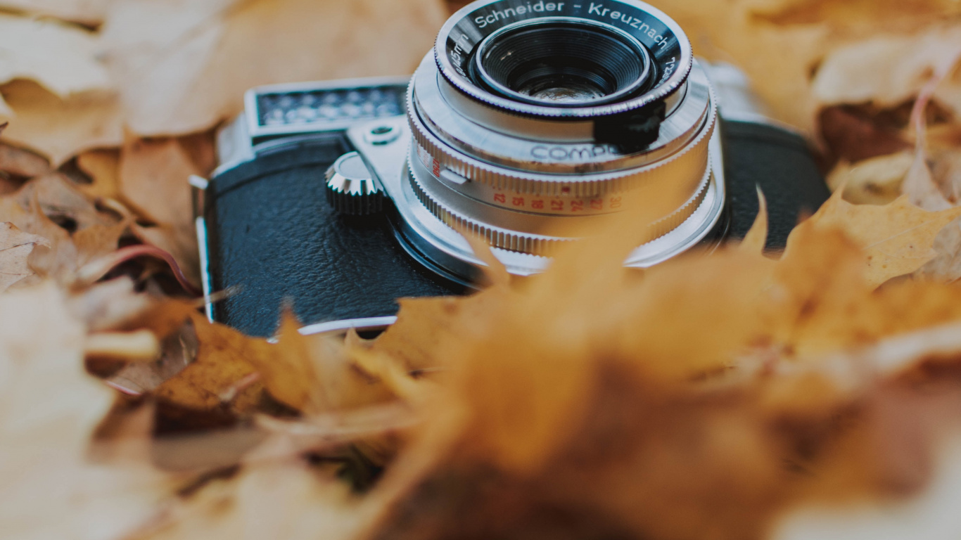 Black and Silver Dslr Camera on Brown Dried Leaves. Wallpaper in 1366x768 Resolution