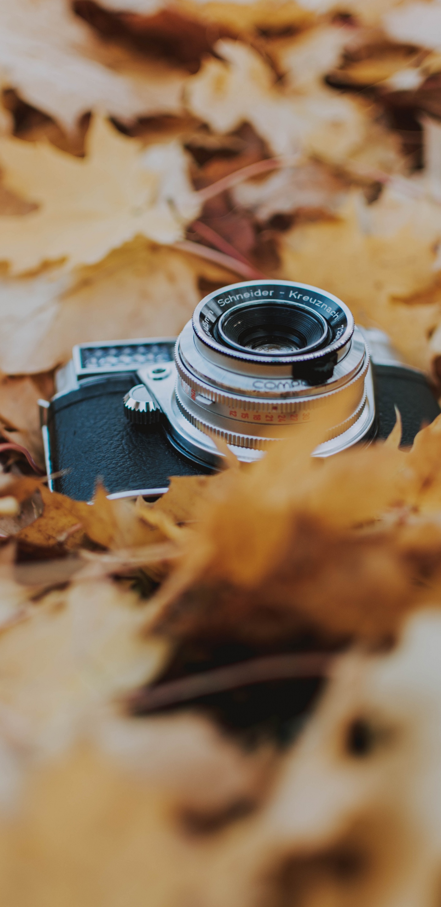 Black and Silver Dslr Camera on Brown Dried Leaves. Wallpaper in 1440x2960 Resolution