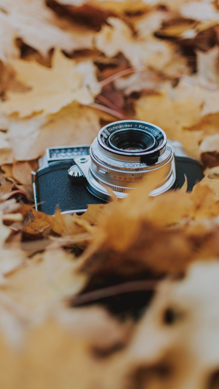 Black and Silver Dslr Camera on Brown Dried Leaves. Wallpaper in 750x1334 Resolution
