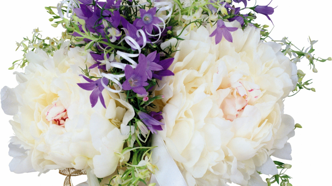 White and Purple Flower Bouquet. Wallpaper in 1280x720 Resolution