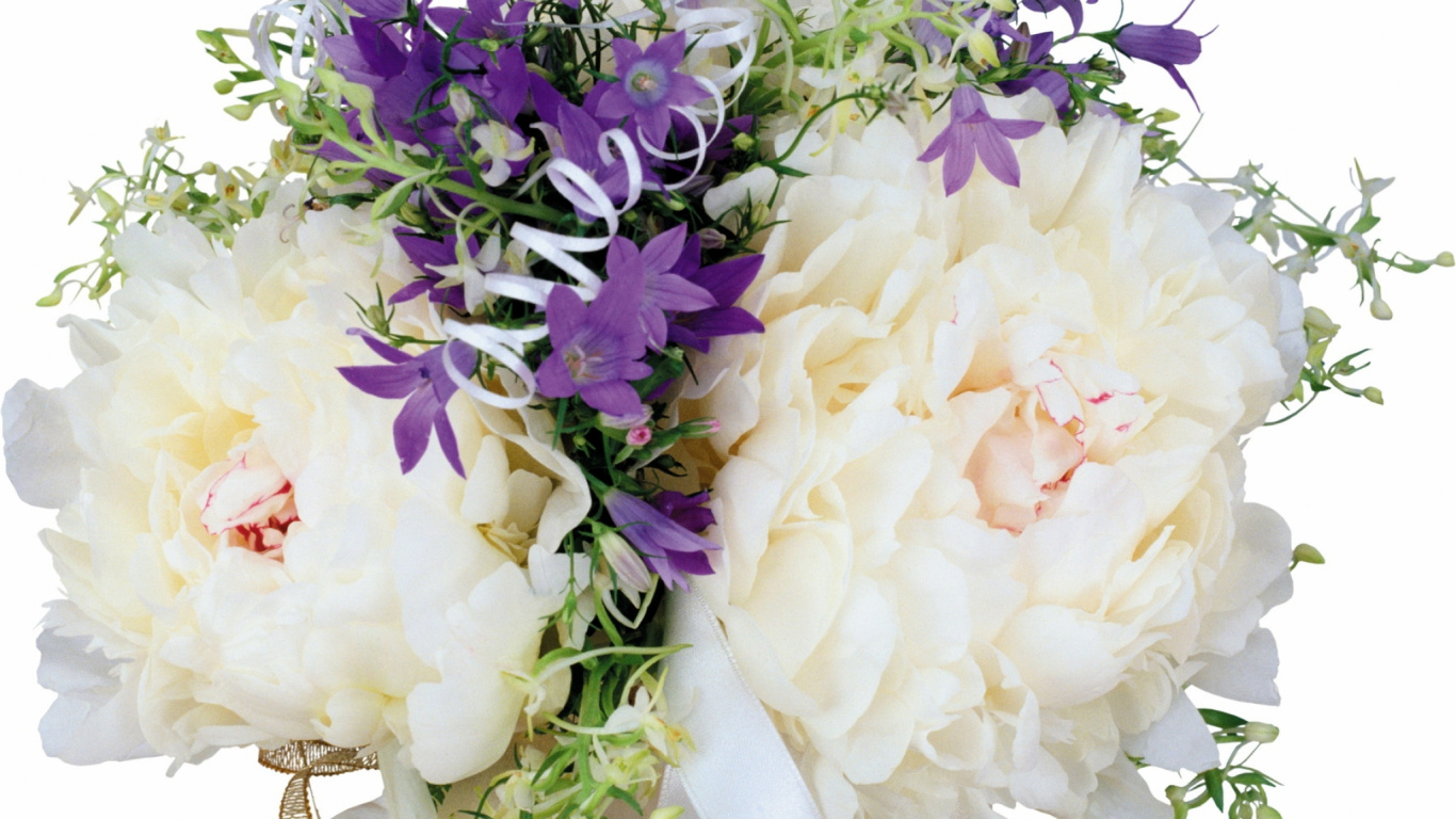 White and Purple Flower Bouquet. Wallpaper in 1366x768 Resolution