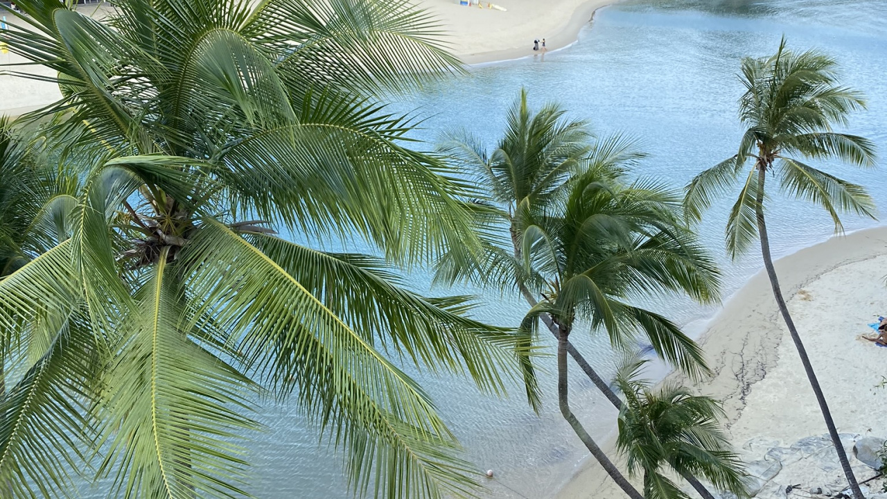 Mar, Playa, Palmera, Agua, Turismo. Wallpaper in 1280x720 Resolution