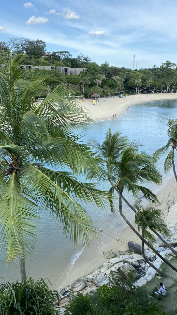 Meer, Strand, Palme, Wasser, Tourismus. Wallpaper in 720x1280 Resolution