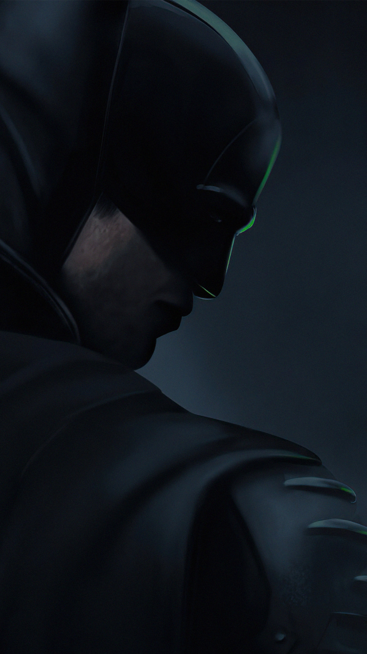 Batman, The Batman, Catwoman, Superhero, dc Comics. Wallpaper in 750x1334 Resolution