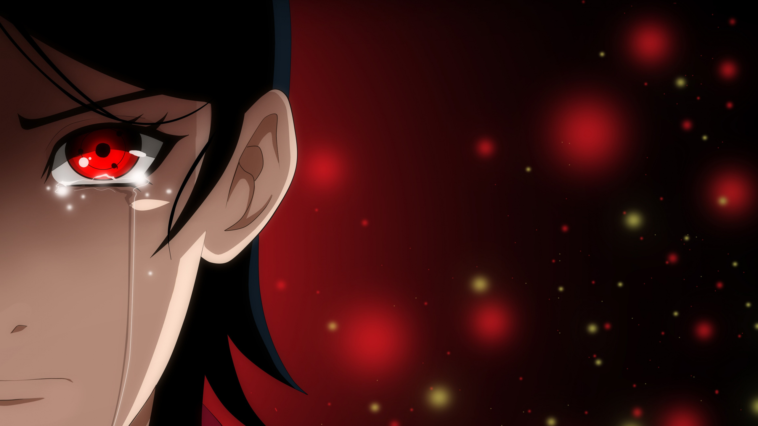 Schwarze Und Rote Drachenillustration. Wallpaper in 2560x1440 Resolution