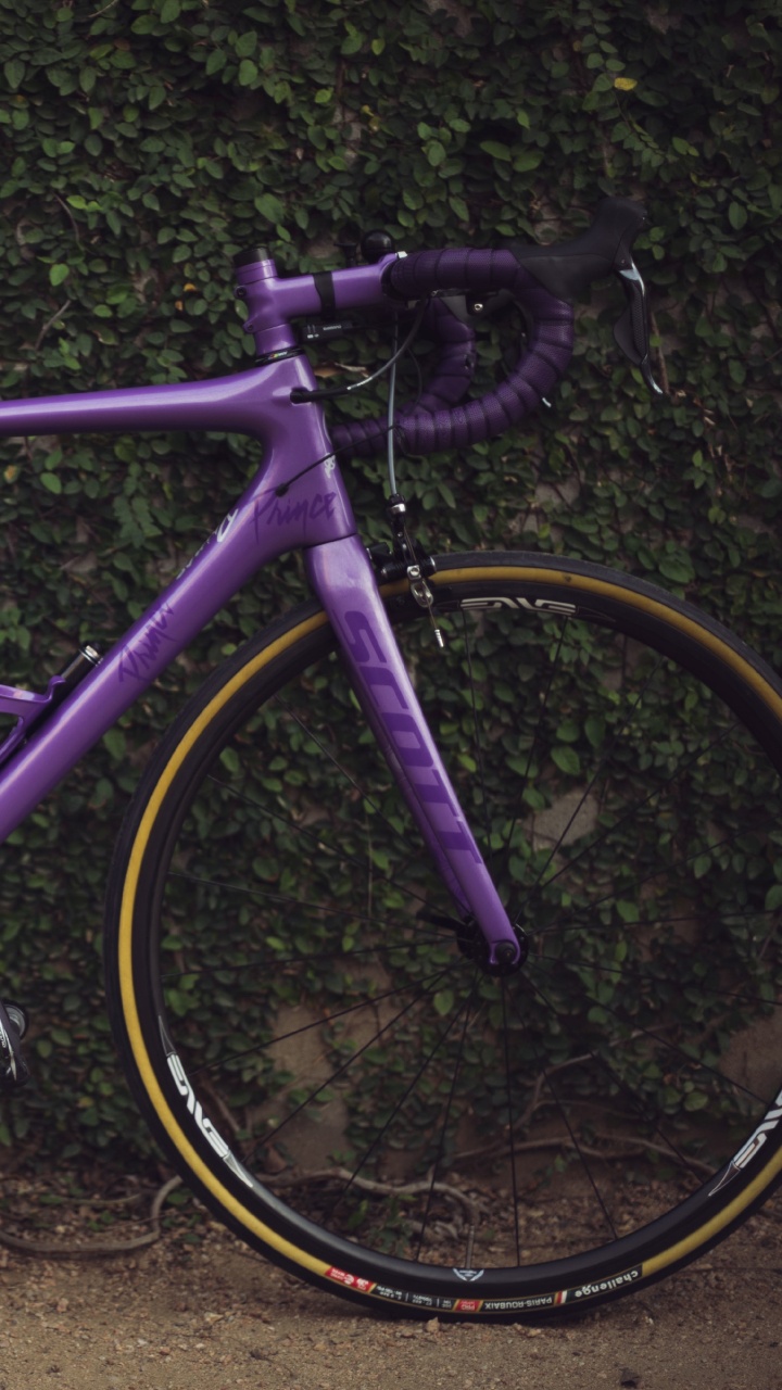 Purple Road Bike on Brown Dirt. Wallpaper in 720x1280 Resolution