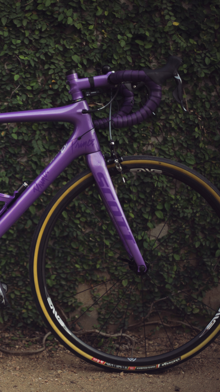 Purple Road Bike on Brown Dirt. Wallpaper in 750x1334 Resolution