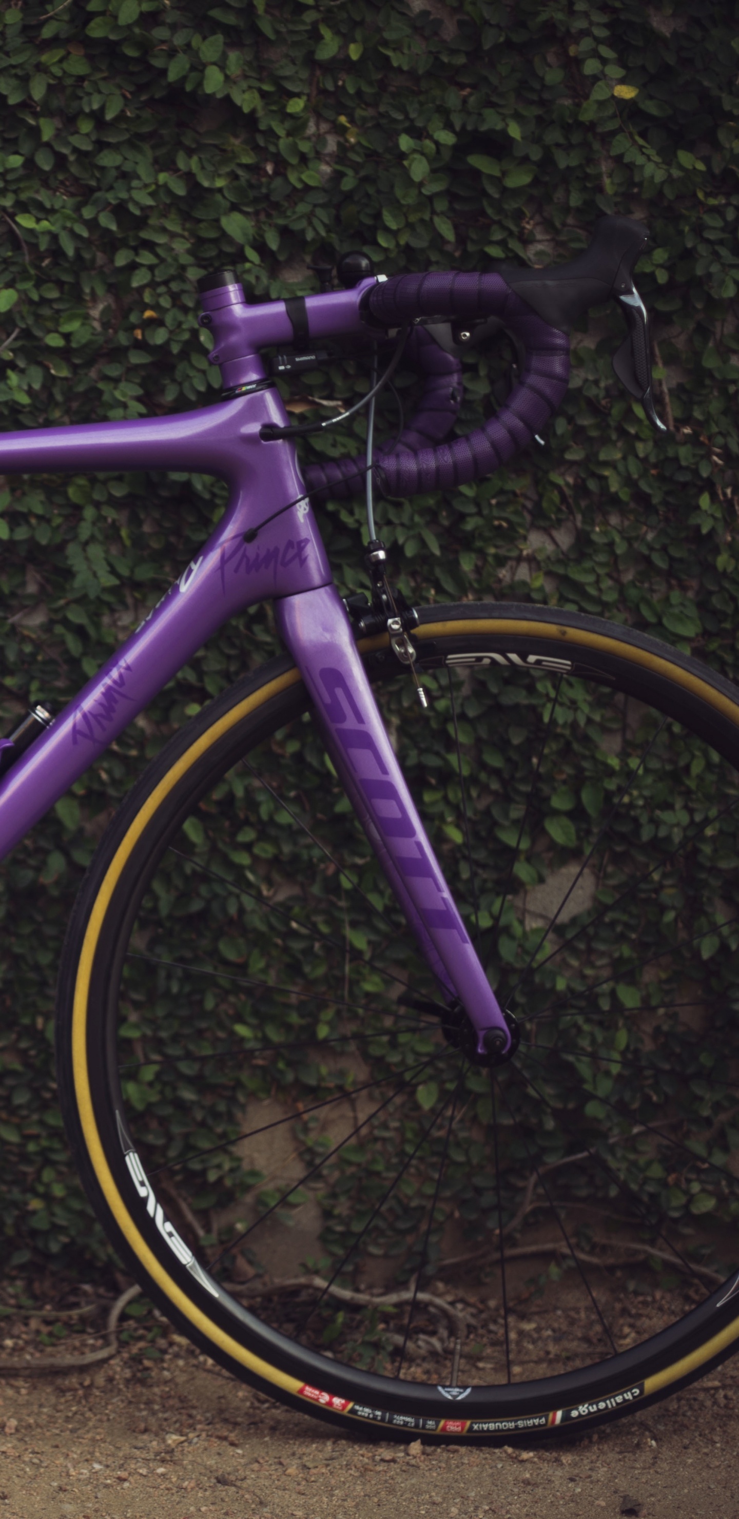 Lila Rennrad Auf Braunem Dreck. Wallpaper in 1440x2960 Resolution