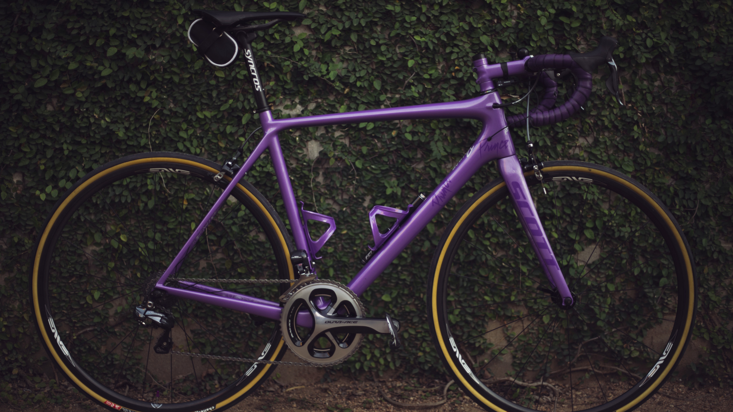 Lila Rennrad Auf Braunem Dreck. Wallpaper in 2560x1440 Resolution