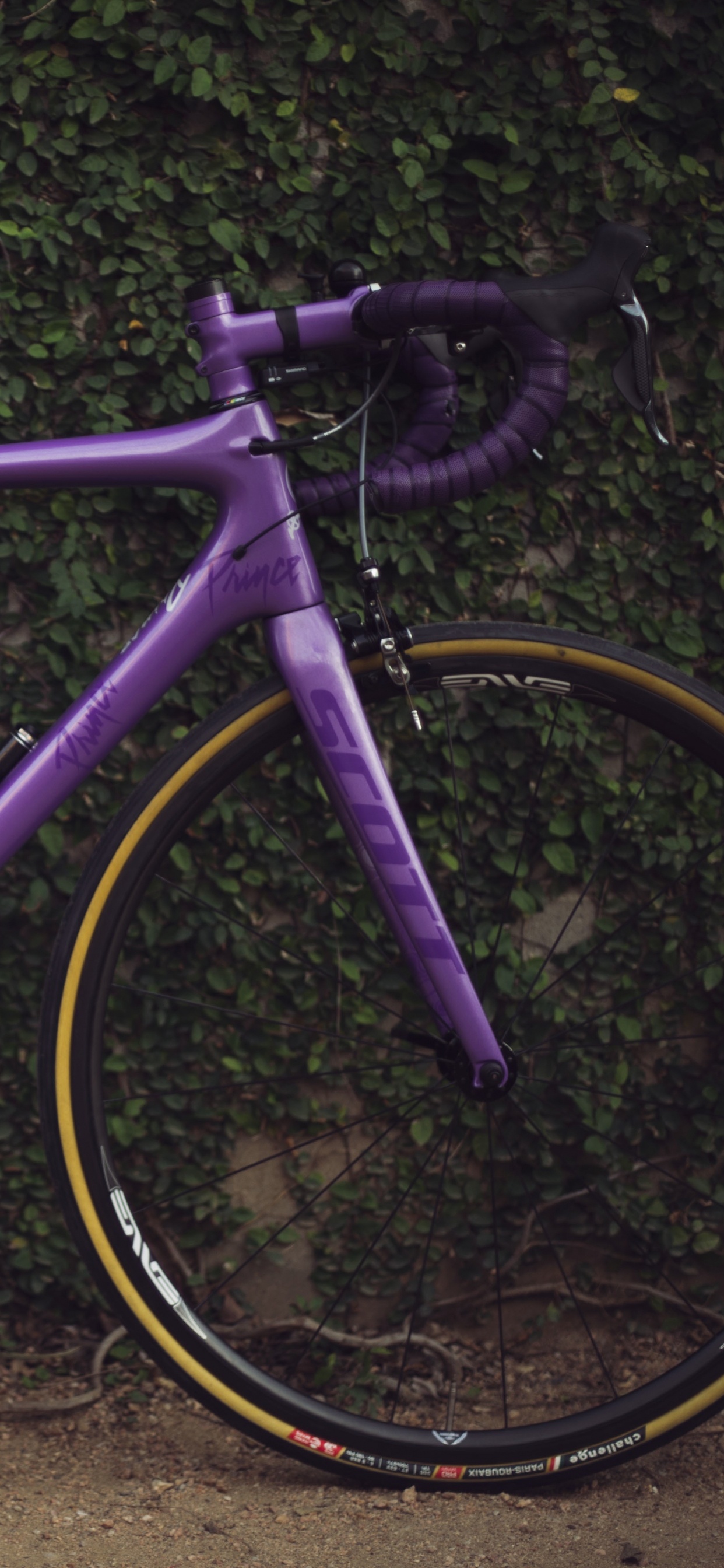 Vélo de Route Violet Sur Terre Brune. Wallpaper in 1242x2688 Resolution