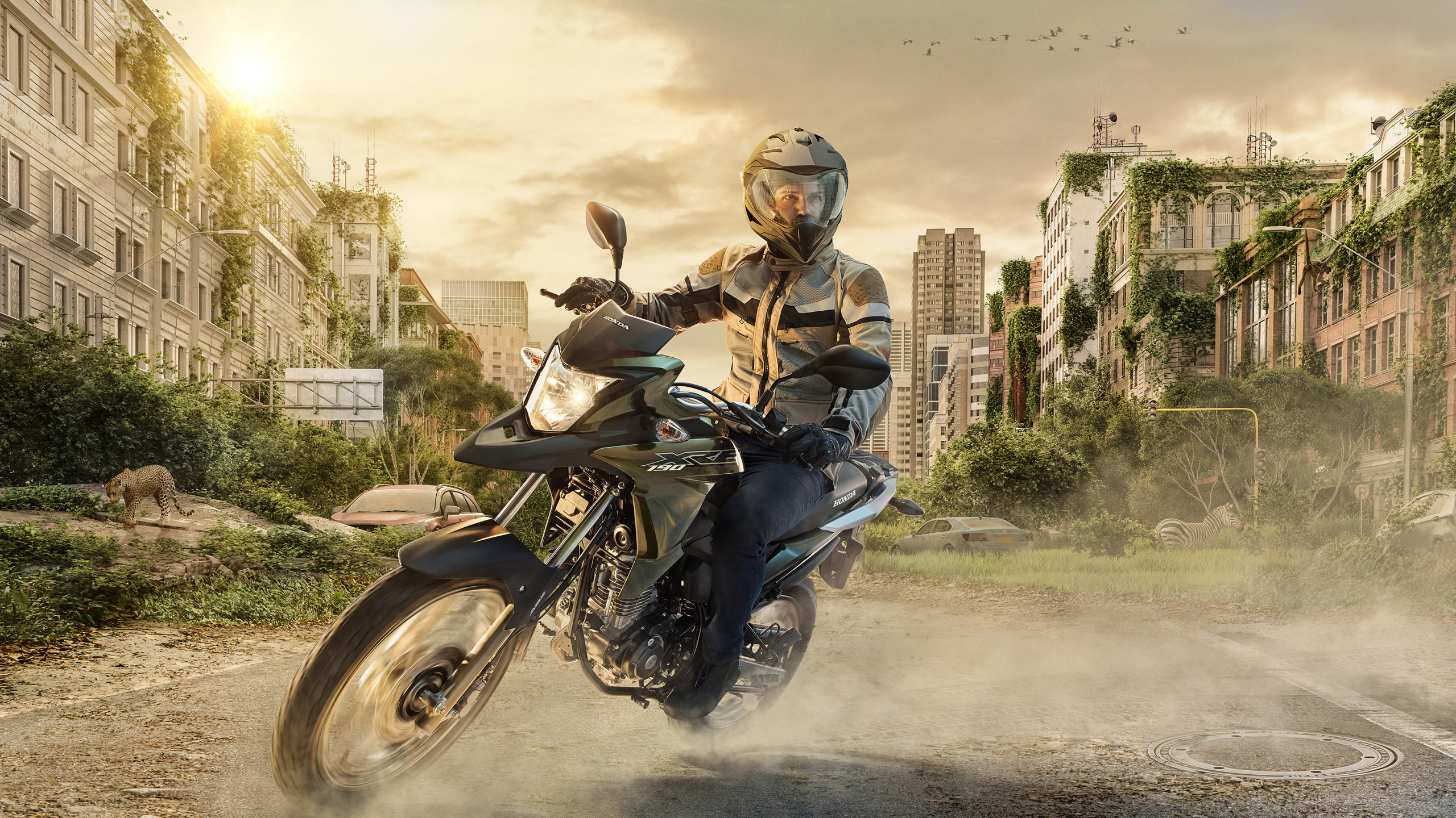 Hombre de Chaqueta Negra Montando en Motocicleta Negra. Wallpaper in 2560x1440 Resolution