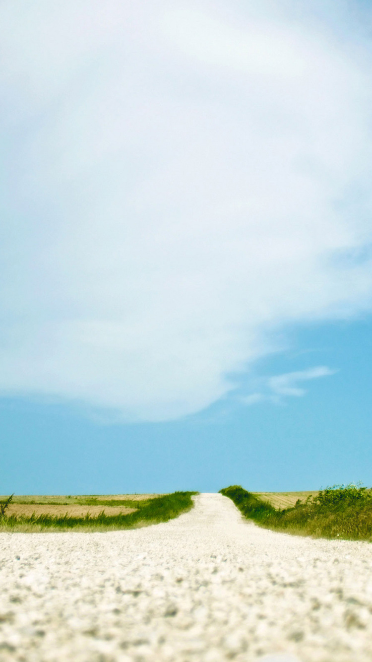 Green Grass Field Under Blue Sky During Daytime. Wallpaper in 750x1334 Resolution