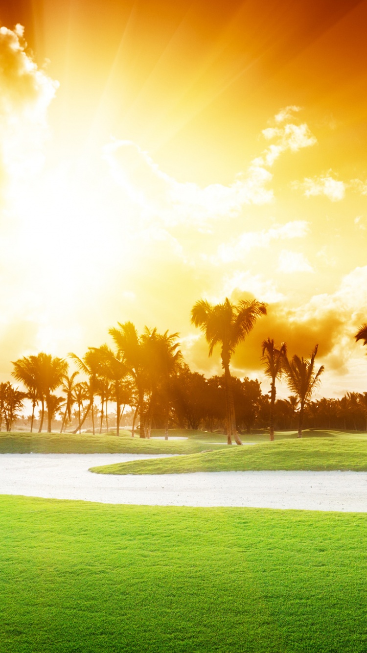 高尔夫球场, 高尔夫球, 性质, 阳光, 草 壁纸 750x1334 允许