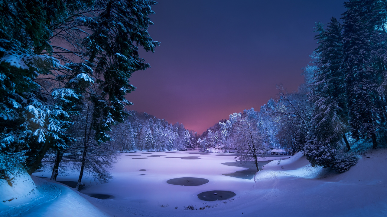 Snow Covered Trees and Lake. Wallpaper in 1280x720 Resolution