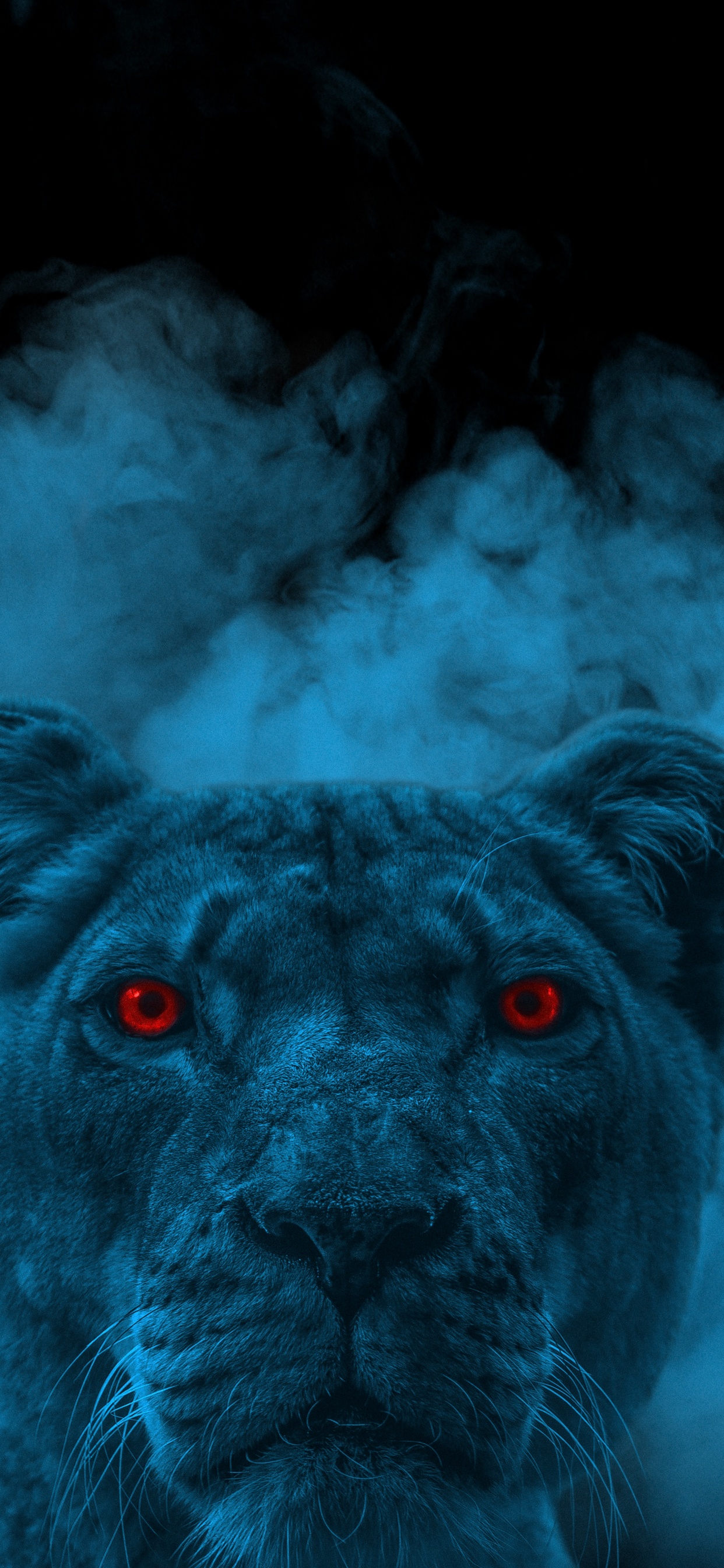 Leones, Felidae, Azure, Raza de Perro, Carnívoro. Wallpaper in 1242x2688 Resolution