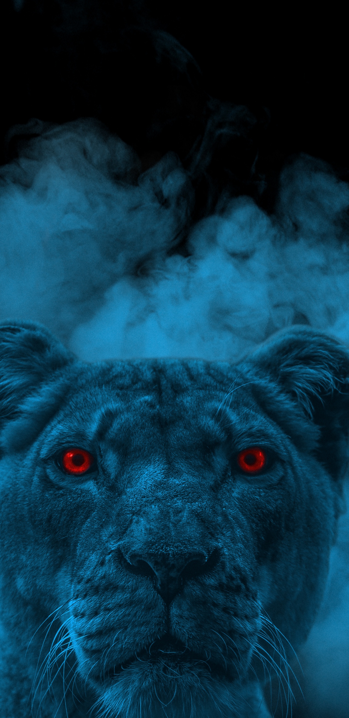 Leones, Felidae, Azure, Raza de Perro, Carnívoro. Wallpaper in 1440x2960 Resolution