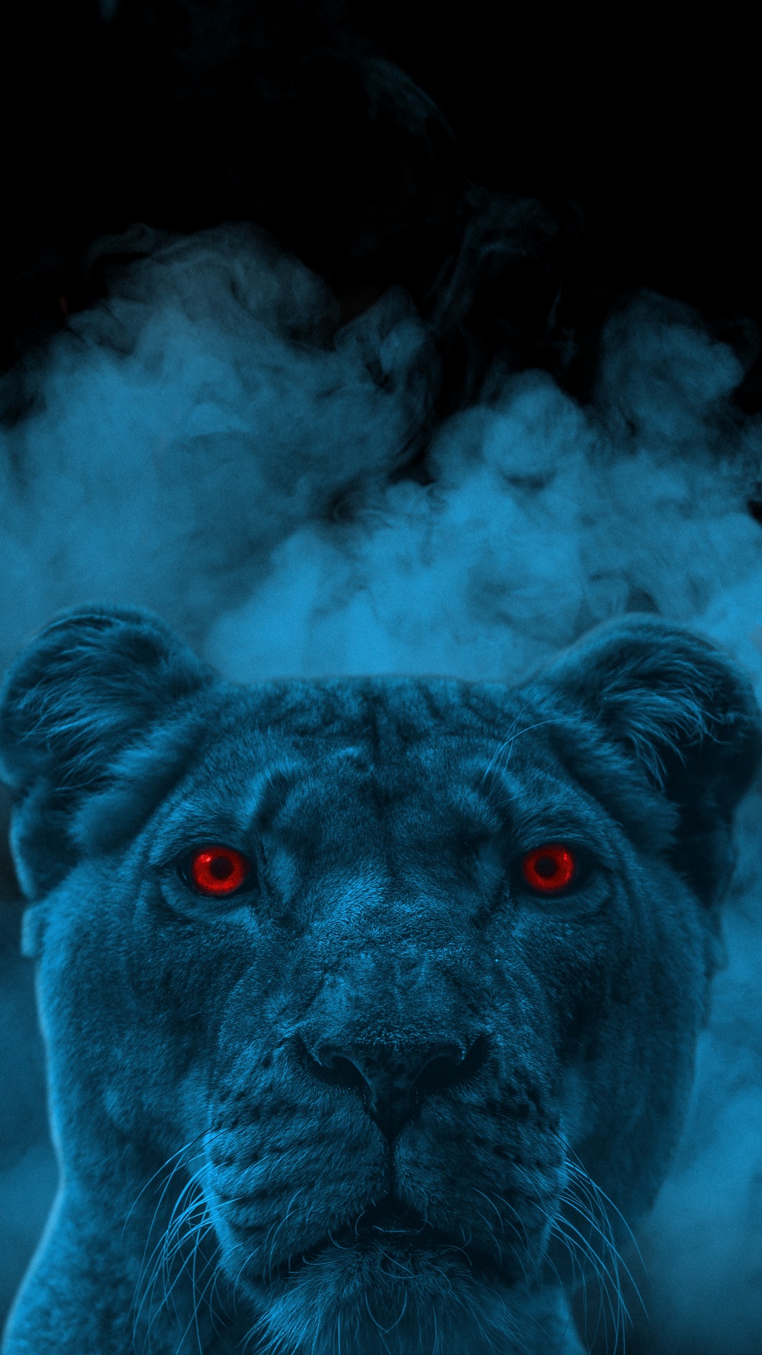 Lion, Felidae, Azure, Hunderasse, Carnivore. Wallpaper in 1080x1920 Resolution