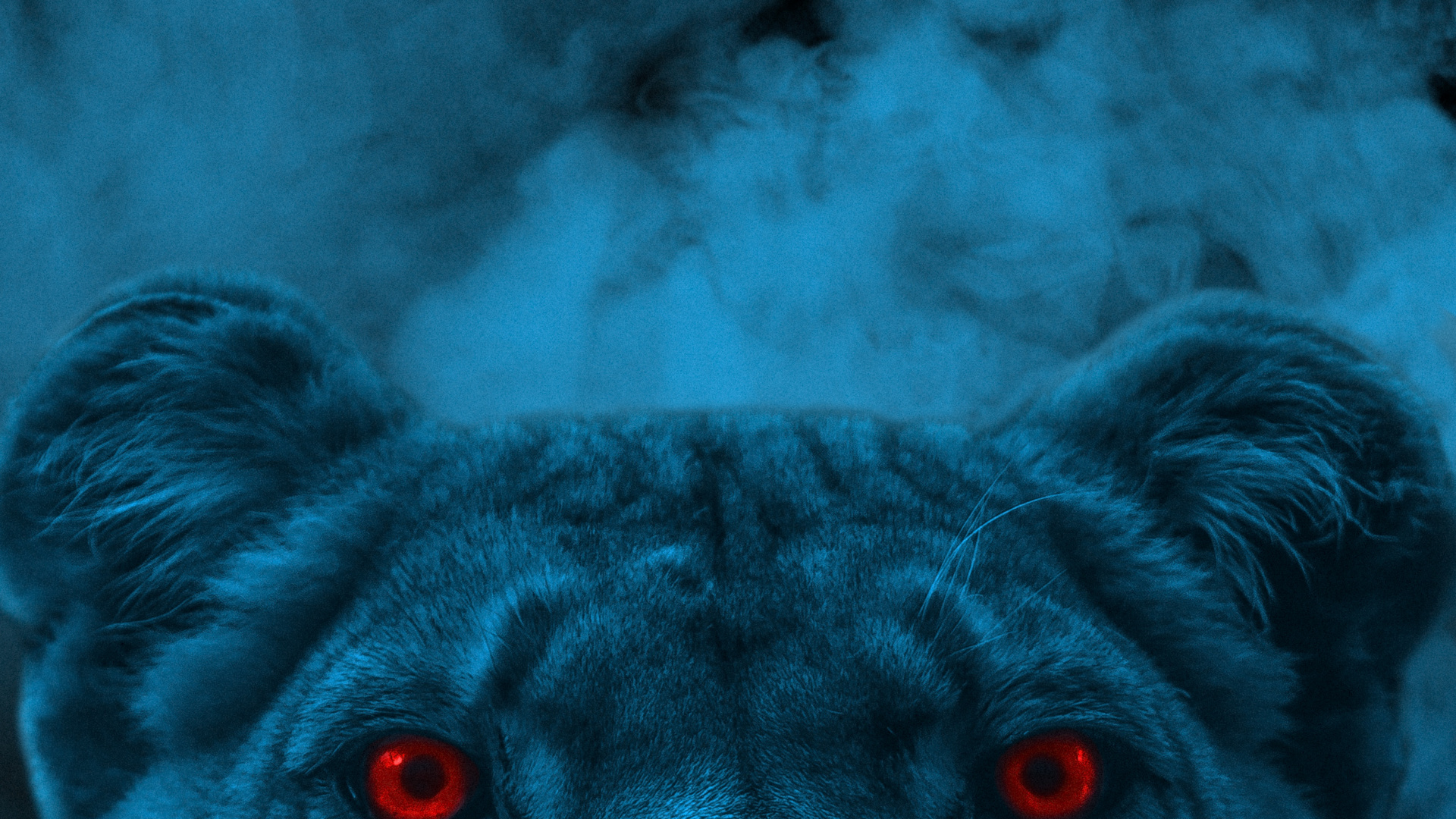 Lion, Felidae, Azure, Race de Chien, Carnivores. Wallpaper in 1920x1080 Resolution