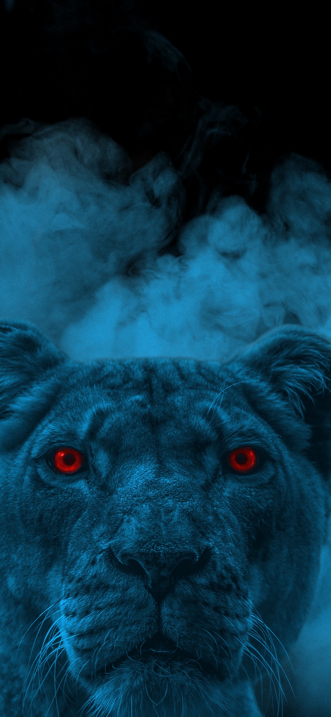 狮子, 猫科, Azure, 品种的狗, 大丹犬 壁纸 1125x2436 允许