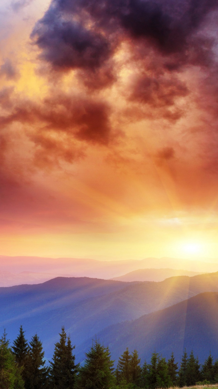 Árboles Verdes Bajo el Cielo Nublado Durante el Día. Wallpaper in 750x1334 Resolution