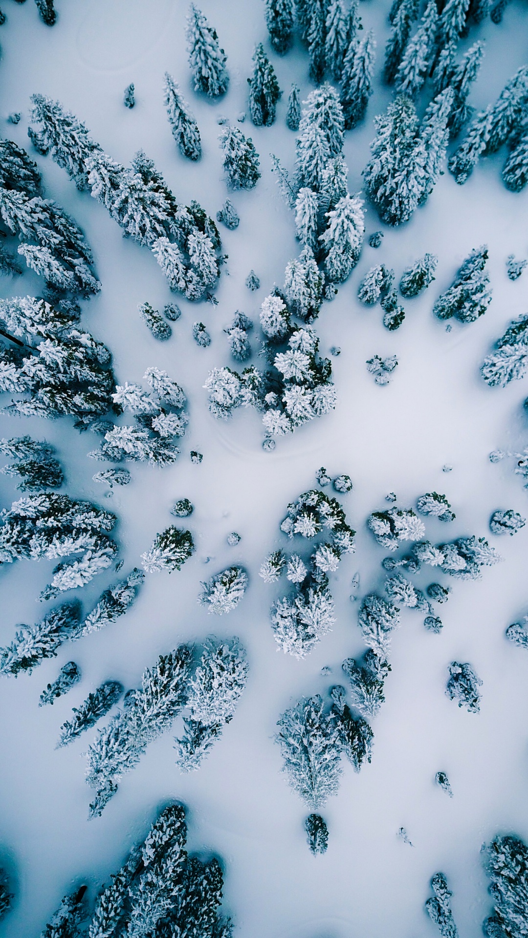 Agua, Patrón, Nieve, Ilustración, Arte Fractal. Wallpaper in 1080x1920 Resolution