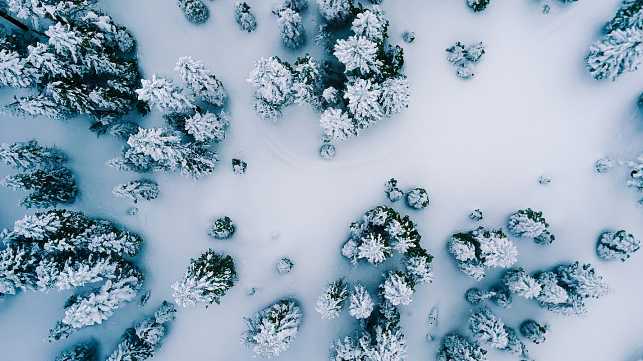 Agua, Patrón, Nieve, Ilustración, Arte Fractal. Wallpaper in 1280x720 Resolution