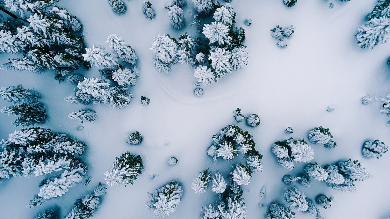 Water, Pattern, Colorfulness, Snow, Illustration. Wallpaper in 1366x768 Resolution