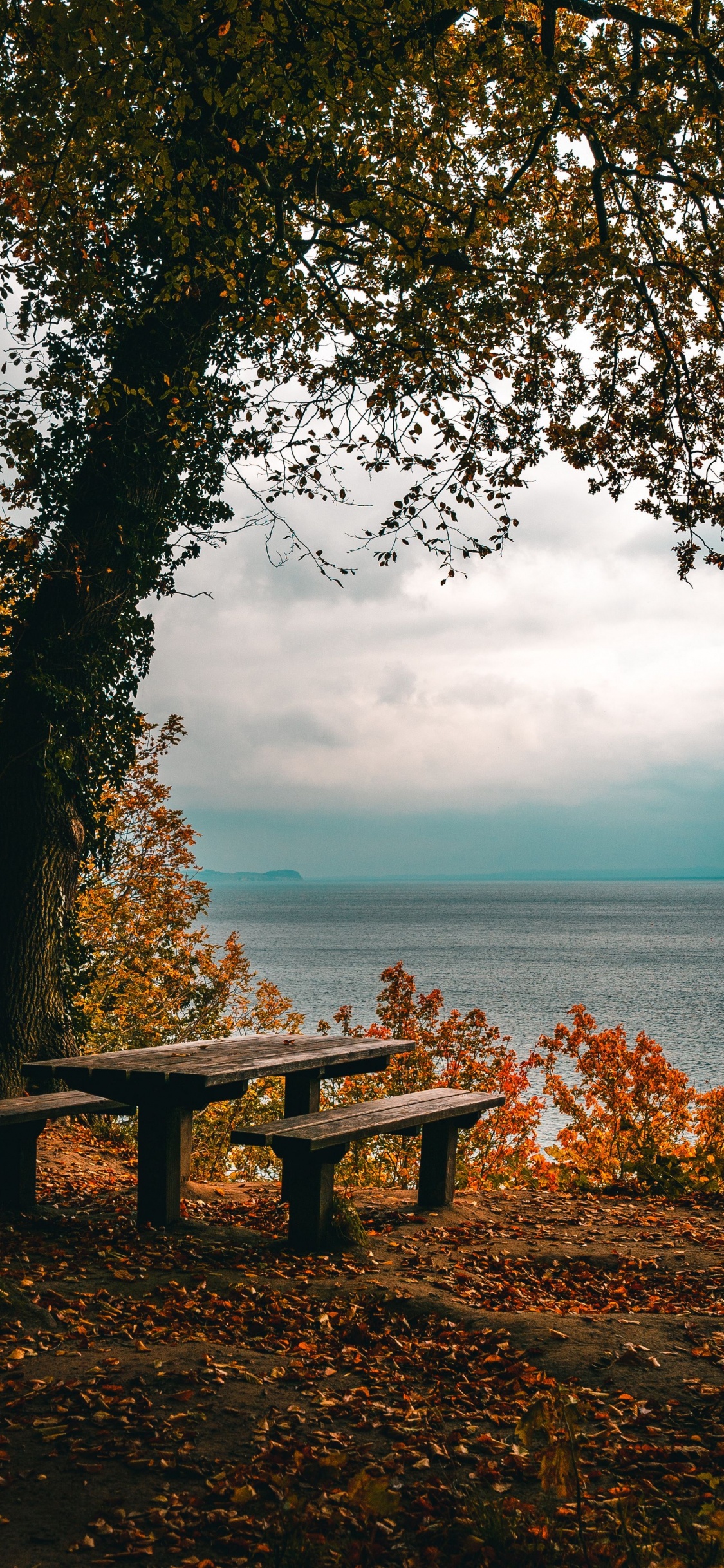 Nature, Table, Eau, Les Gens Dans la Nature, Paysage Naturel. Wallpaper in 1125x2436 Resolution