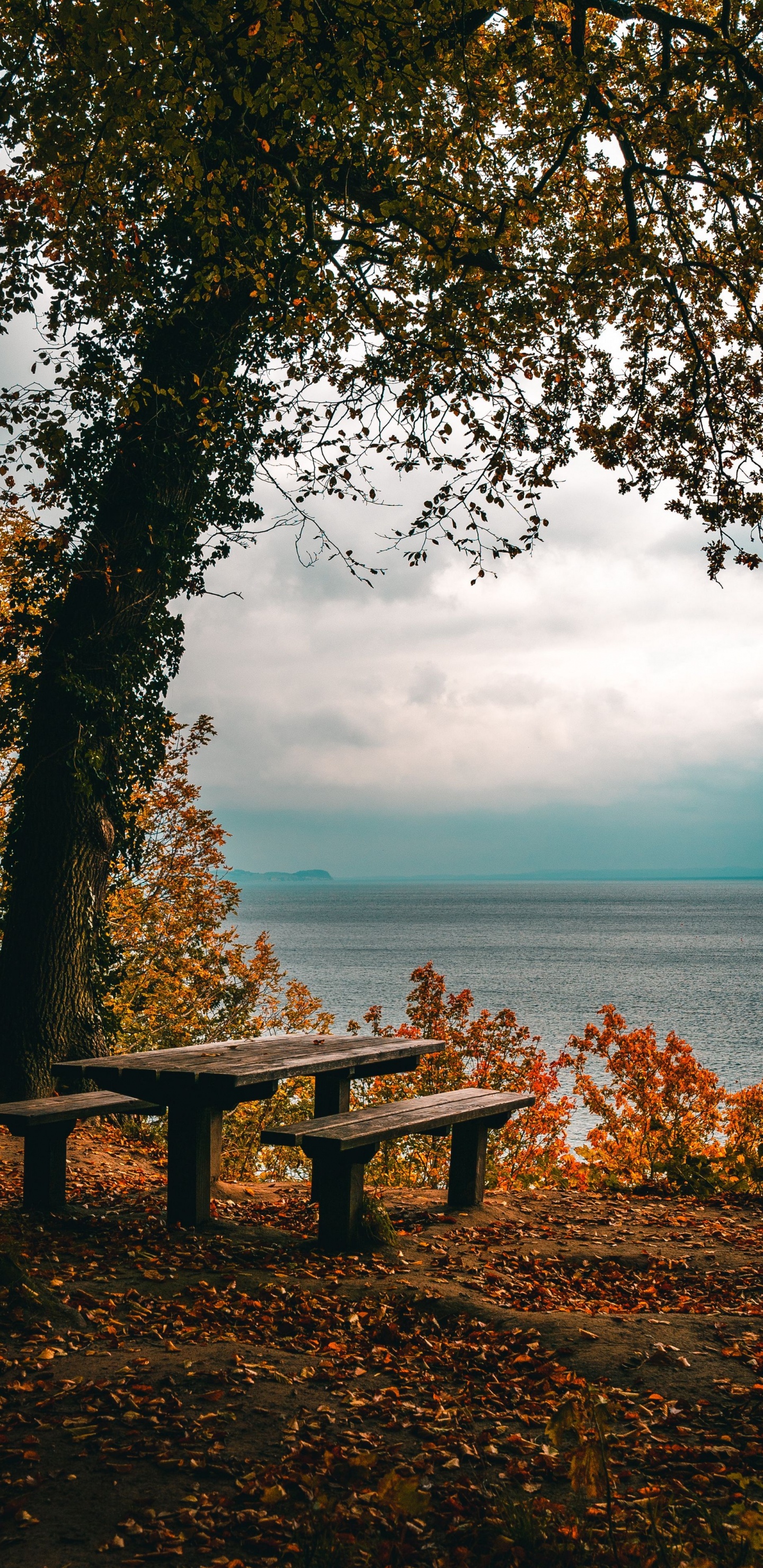 Nature, Table, Eau, Les Gens Dans la Nature, Paysage Naturel. Wallpaper in 1440x2960 Resolution