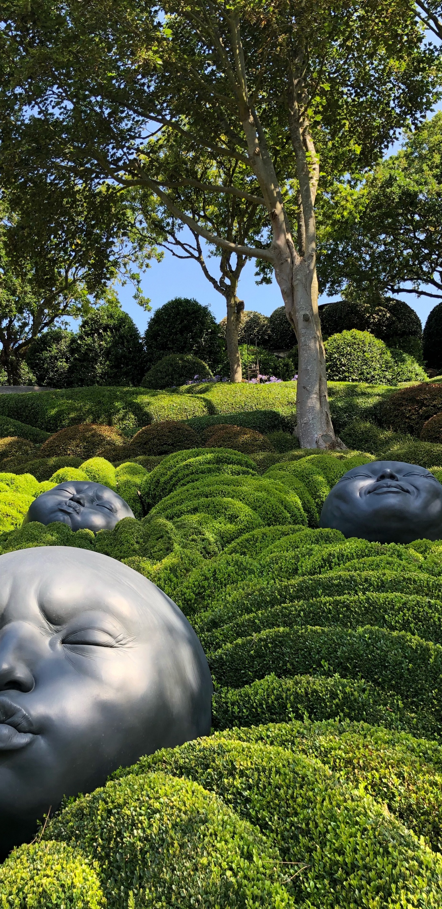 Naturaleza, Jardin, Arbusto, Cobertura, Escultura. Wallpaper in 1440x2960 Resolution