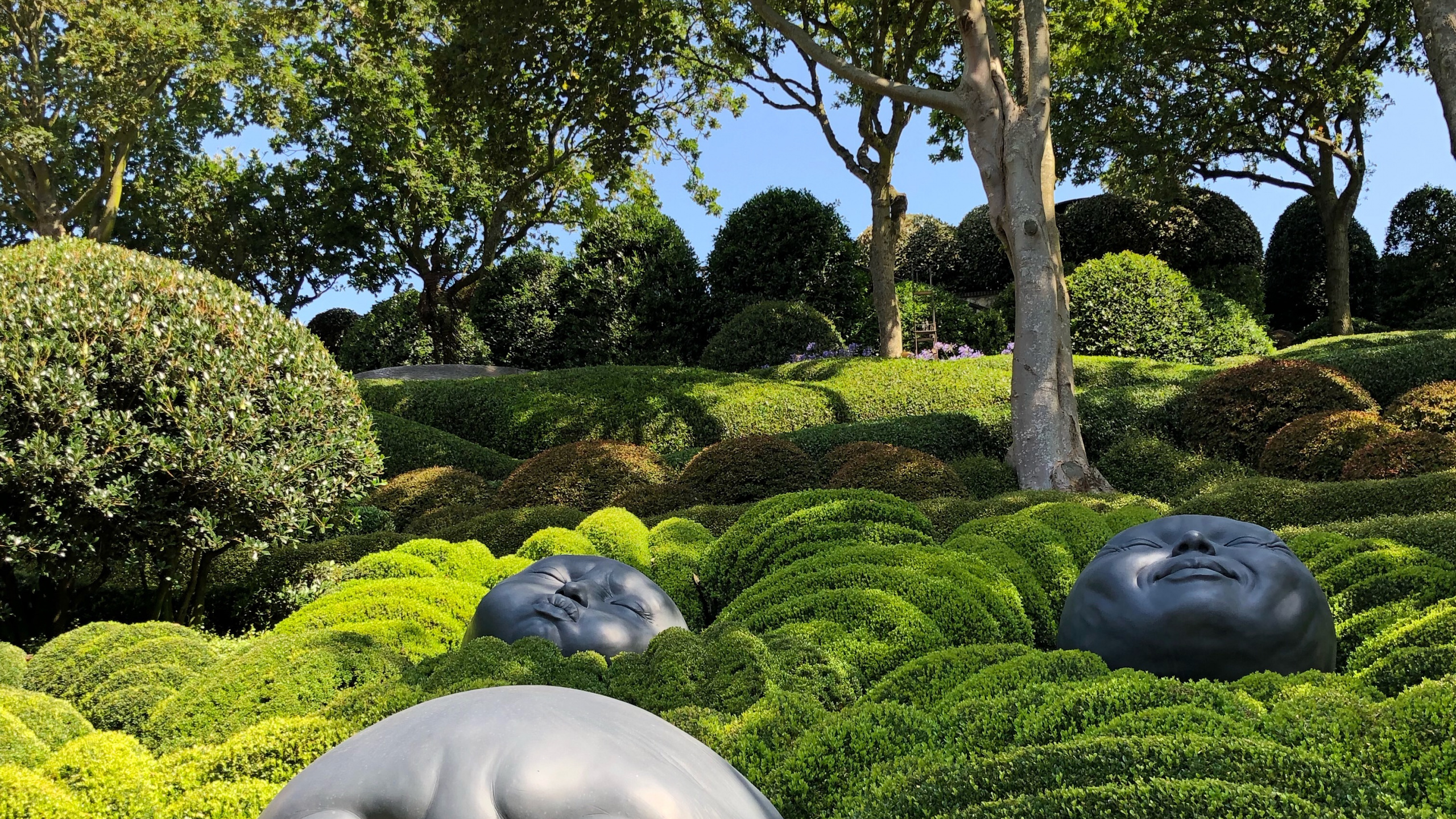 Naturaleza, Jardin, Arbusto, Cobertura, Escultura. Wallpaper in 2560x1440 Resolution