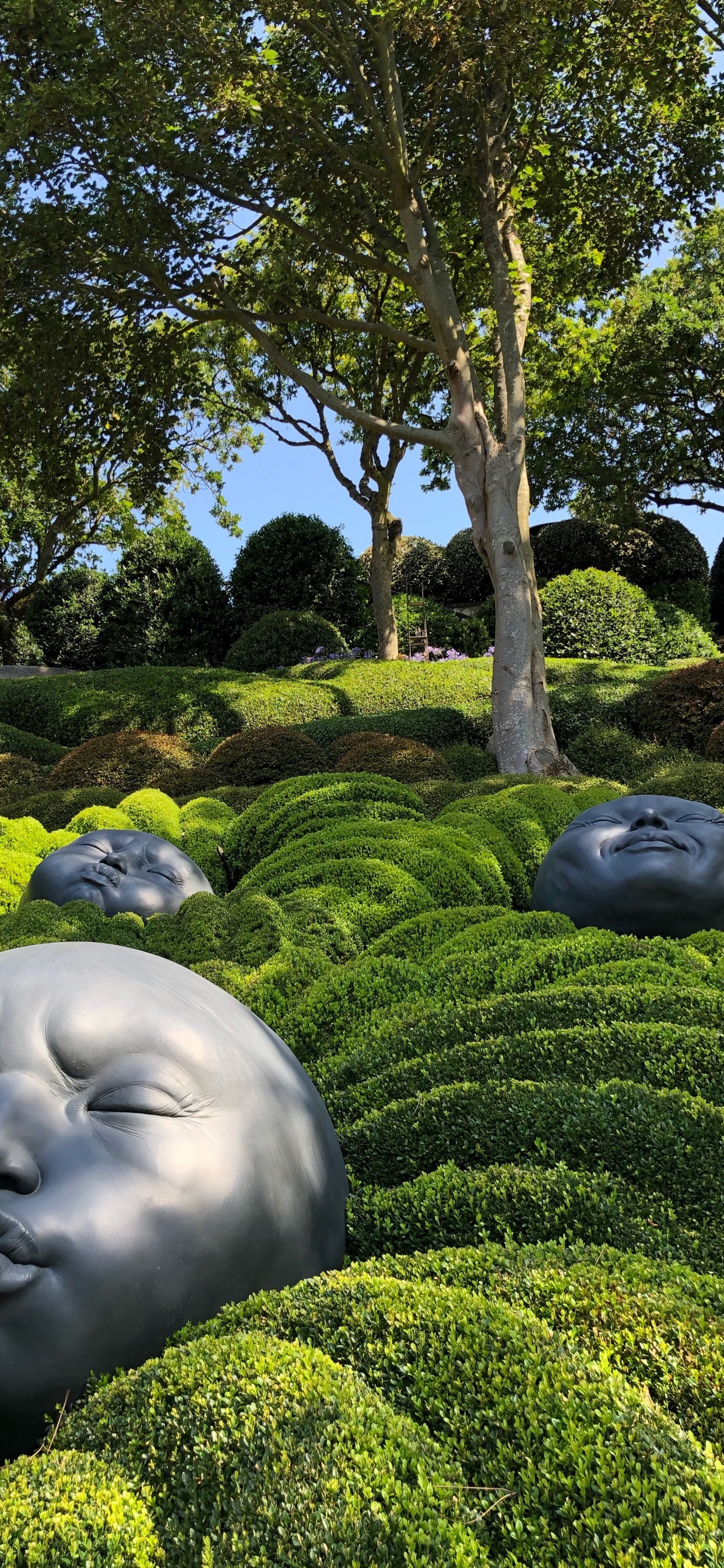 Nature, Garden, Arbuste, Haie, Sculpture. Wallpaper in 1242x2688 Resolution