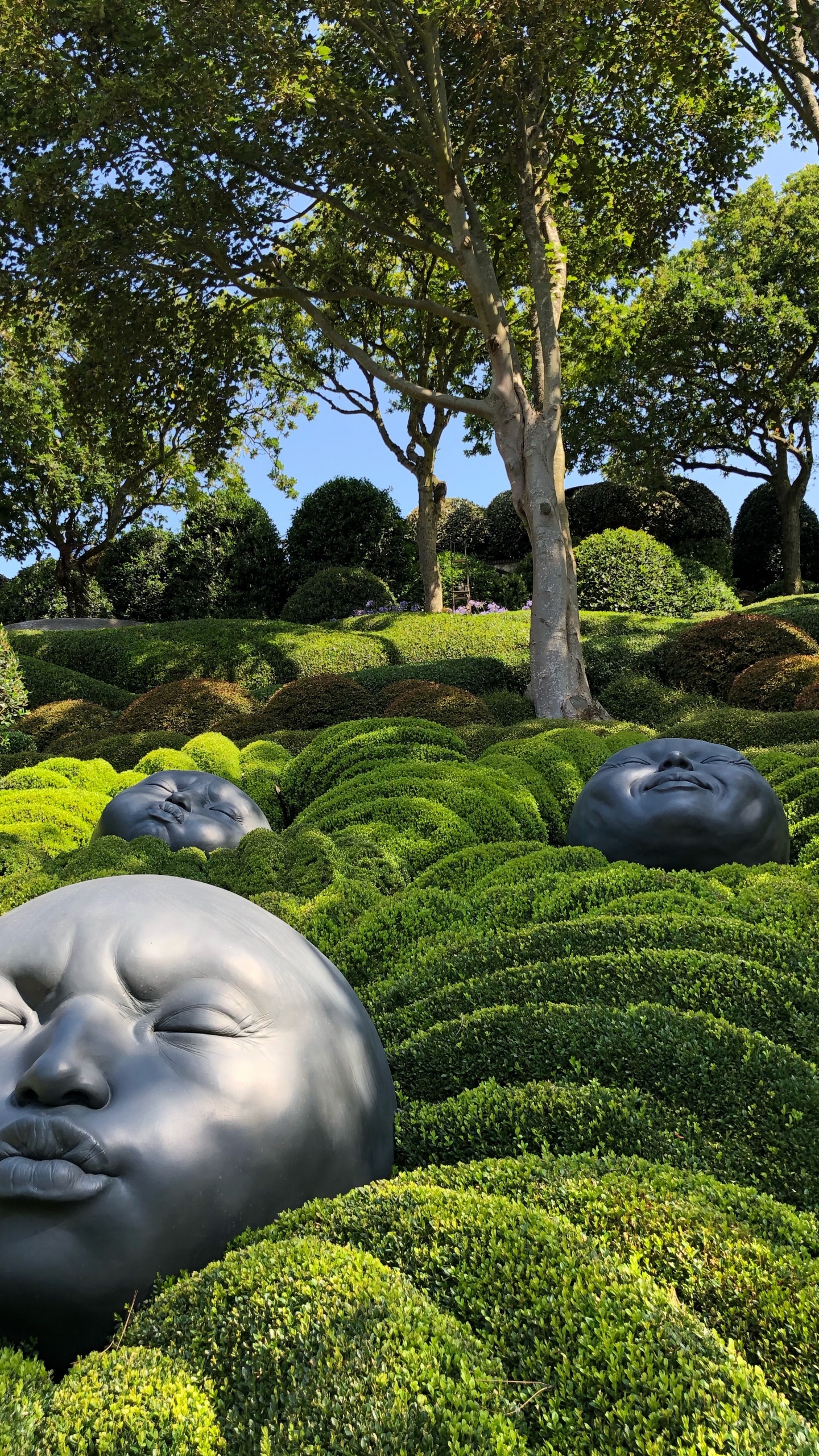 Nature, Garden, Shrub, Hedge, Sculpture. Wallpaper in 1440x2560 Resolution