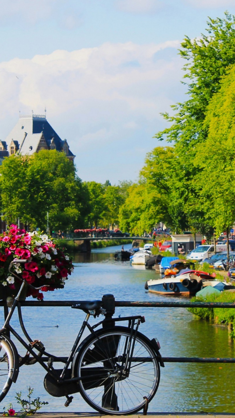 自行车, 运河, 骑自行车, 木本植物, 城市 壁纸 750x1334 允许