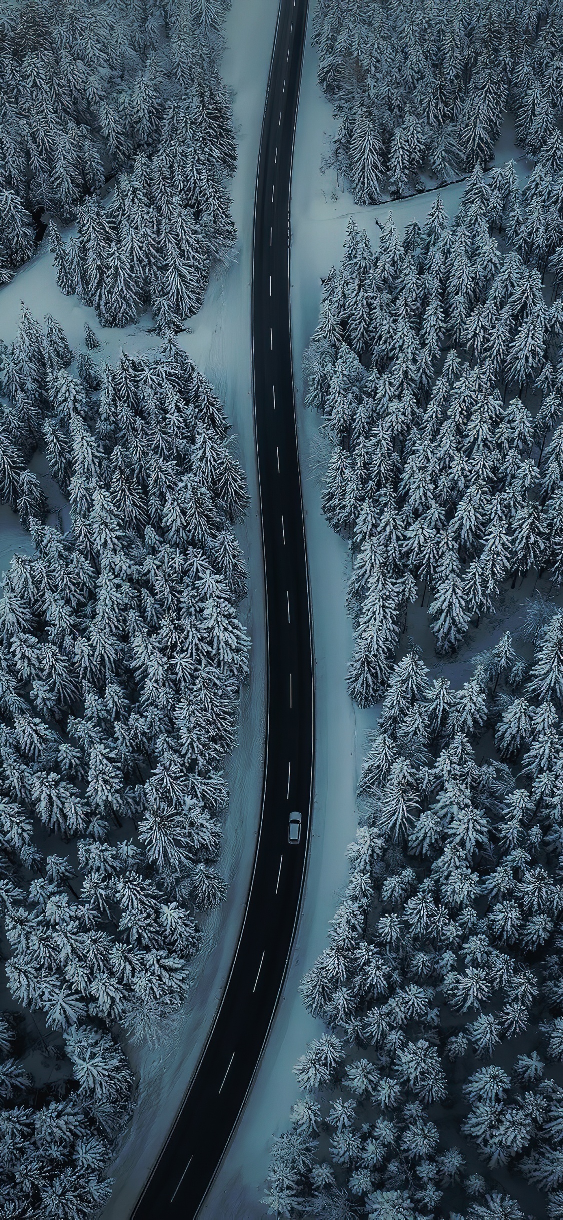 Einfrieren, Wasser, KFZ-Reifen, Schnee, Natürlichen Umgebung. Wallpaper in 1125x2436 Resolution