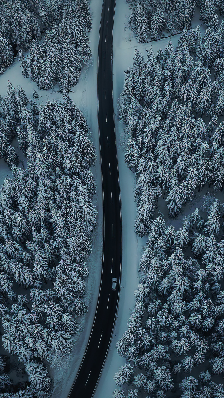 Freezing, Water, Automotive Tire, Plant, Snow. Wallpaper in 750x1334 Resolution