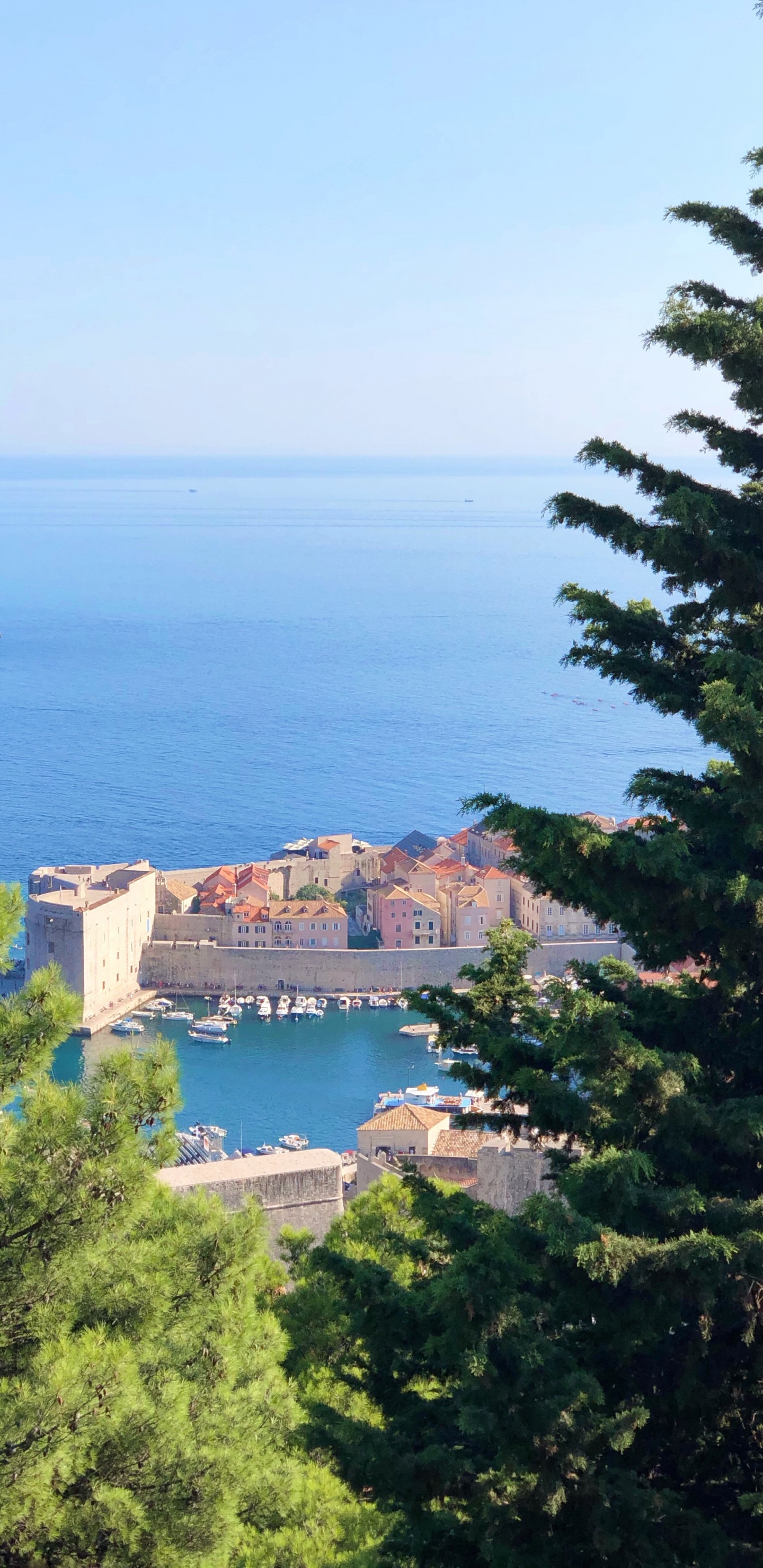 Coast, Mount Scenery, Body of Water, Azure, Evergreen. Wallpaper in 1440x2960 Resolution