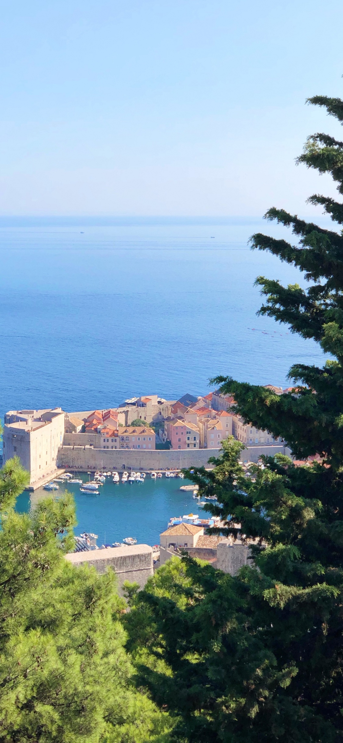 海岸, 安装的风景, 人体内的水, Azure, Evergreen 壁纸 1125x2436 允许