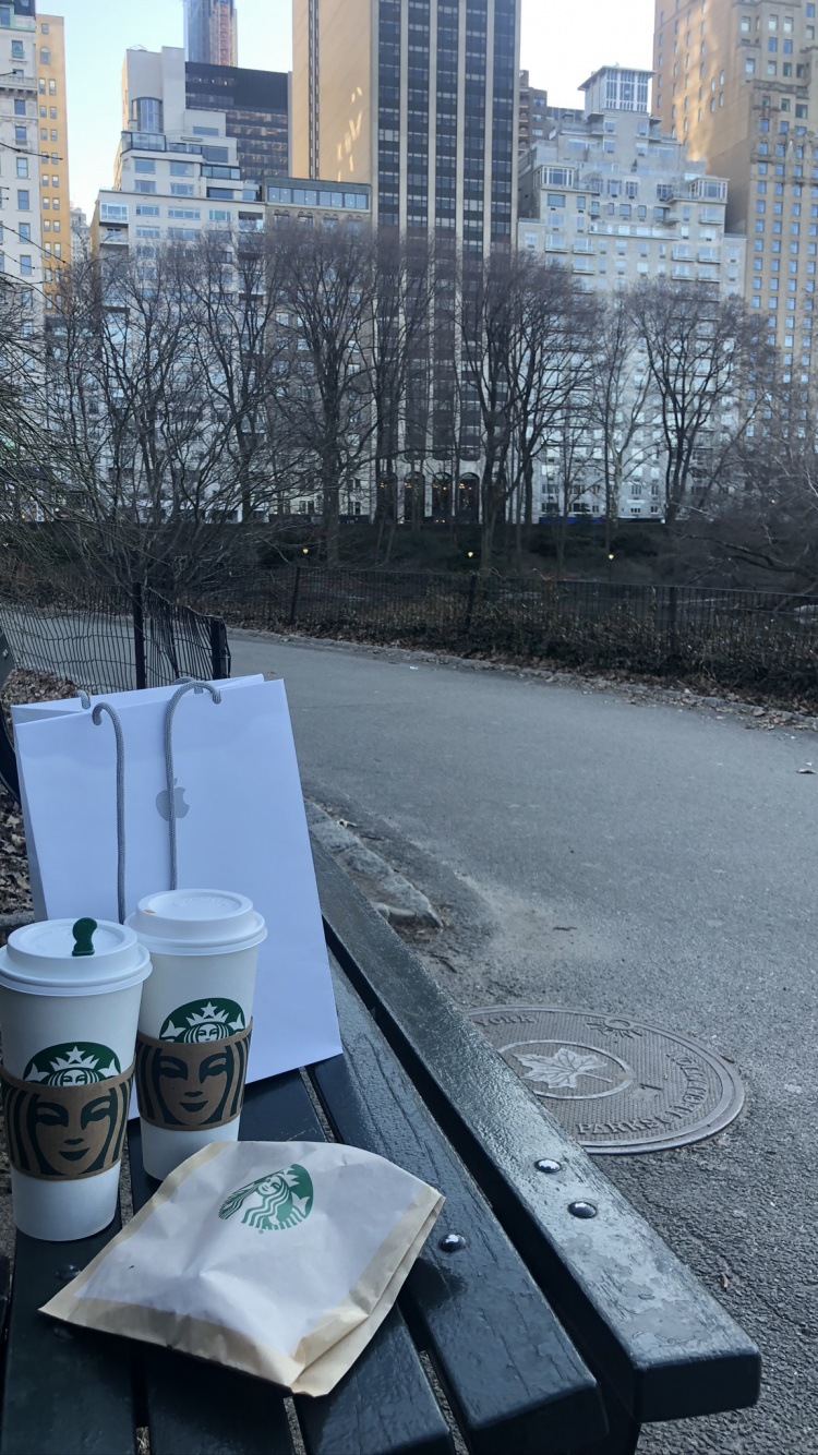 Central Park, Water, Tower Block, Building, Urban Area. Wallpaper in 750x1334 Resolution