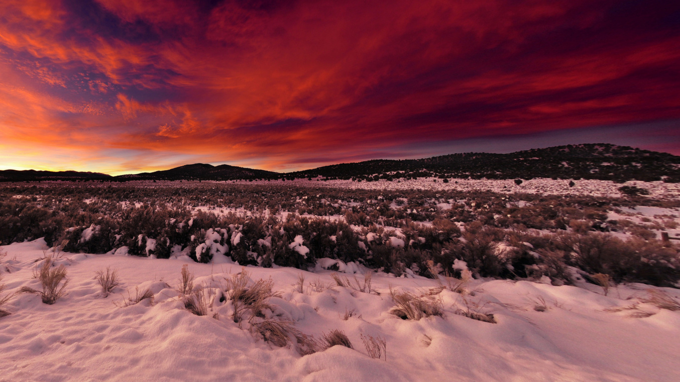 Champ Couvert de Neige au Coucher du Soleil. Wallpaper in 1366x768 Resolution